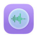 Audio Connection Information