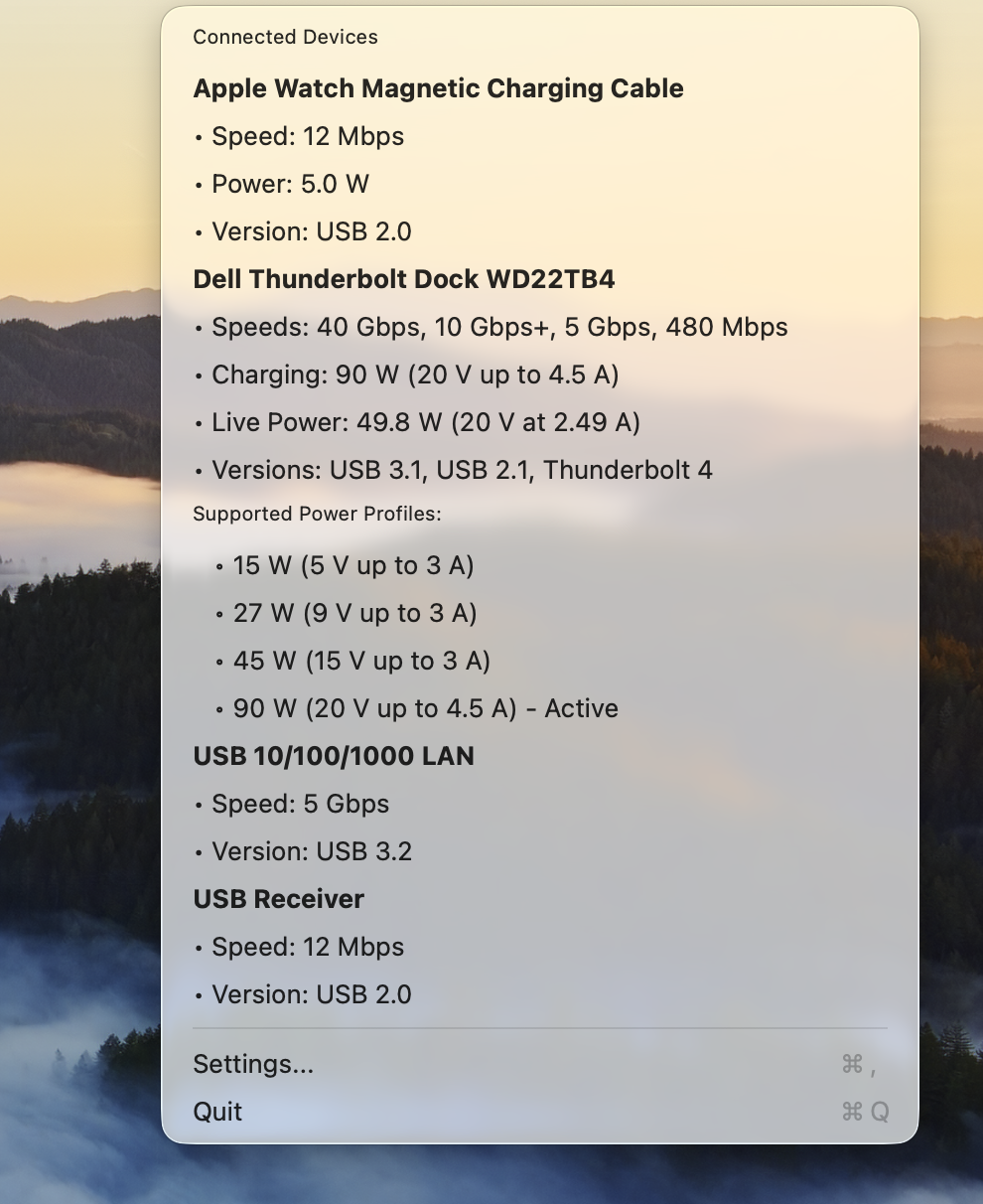 A Dell Thunderbolt dock fully identified by brand, model, and speed on a Mac