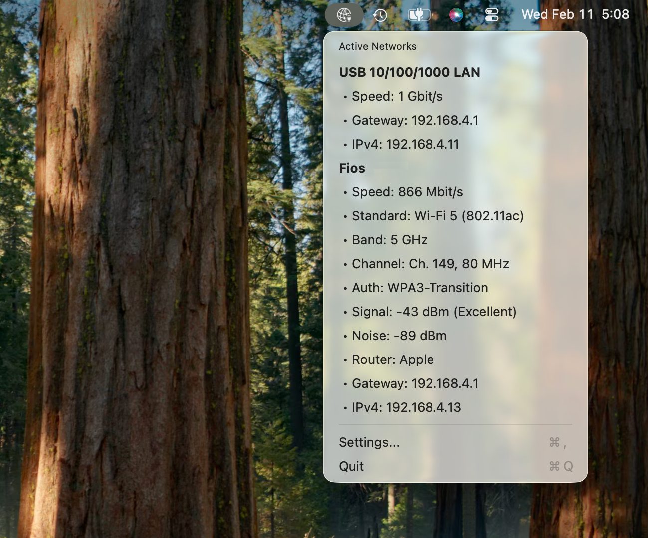 Network Connection Information menu bar popup showing USB Ethernet adapter at 1 Gbit/s and Wi-Fi Fios connection details screenshot